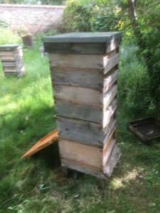 initial configuration of hive with Cloake board inserted.