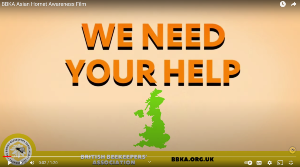 BBKA Asian Hornet Awareness Film