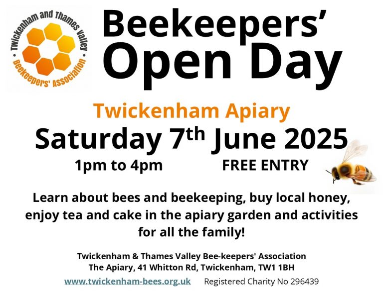 Open day