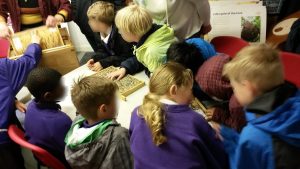 Honey bee on yellow flower