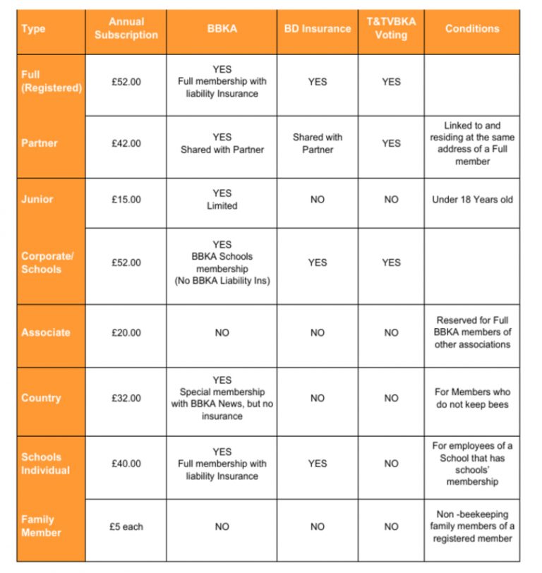 Beekeepers inspecting a hive
